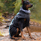 🎁Early Christmas sale 80% off🔥🎄Waterproof Warm Vest Jacket for Dog
