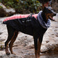 🎁Early Christmas sale 80% off🔥🎄Waterproof Warm Vest Jacket for Dog