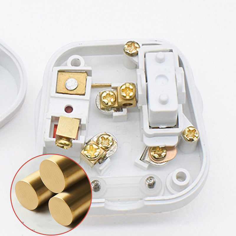 AU 3 Pin 250V AC Plug with Switch and Safety Fuse