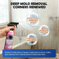 🔥Multi-Surface Bathroom Cleaner for Mold & Limescale